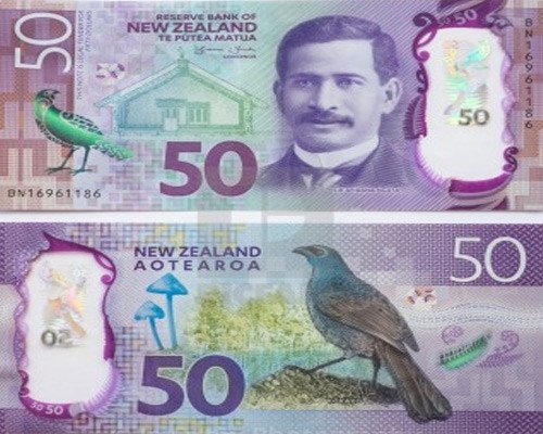 NZD $50 Bills